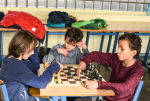 Knifflige Schachprobleme harren ihrer Lösung